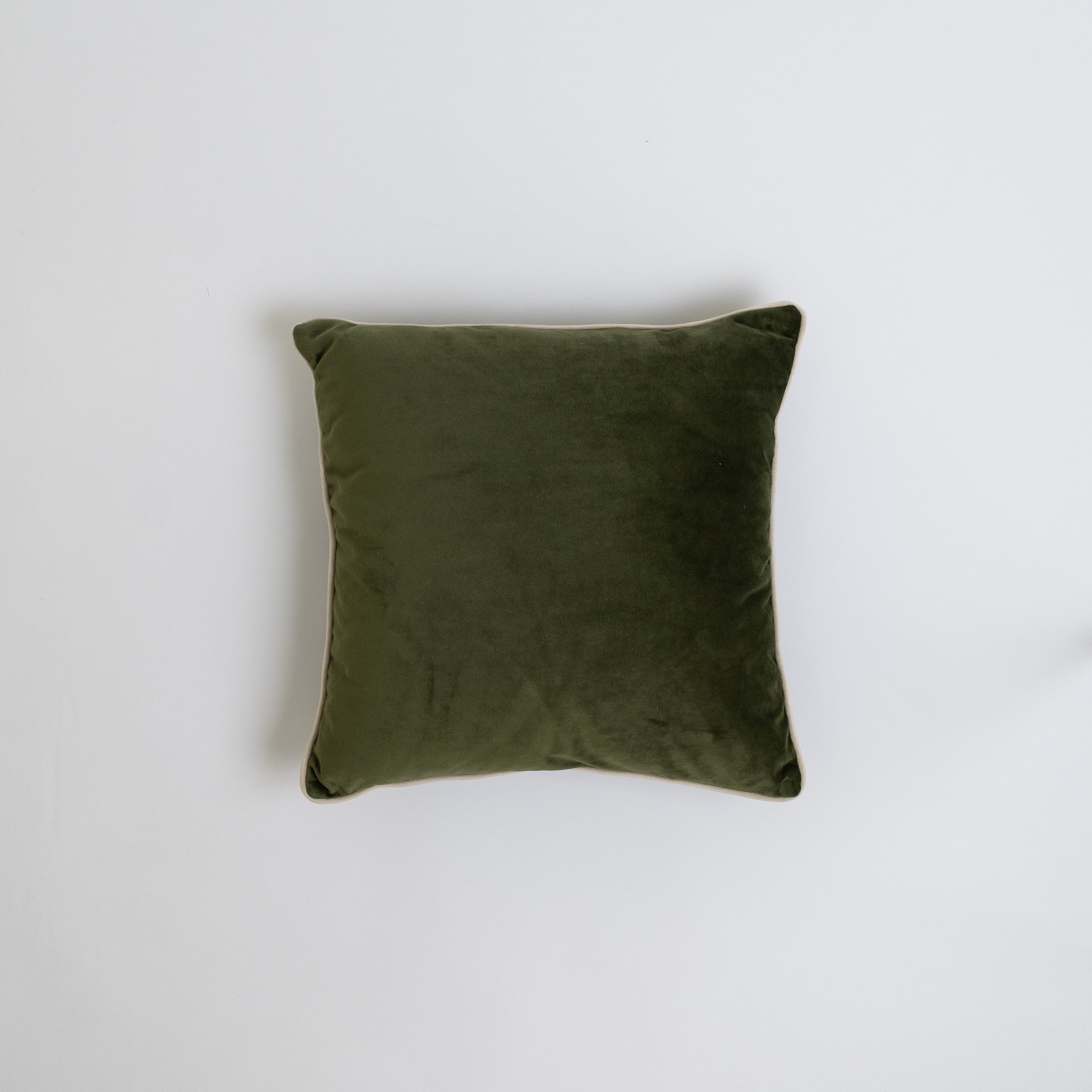 Cushion Cover Velvet 45 x45cm - Wood and Steel Furnitures