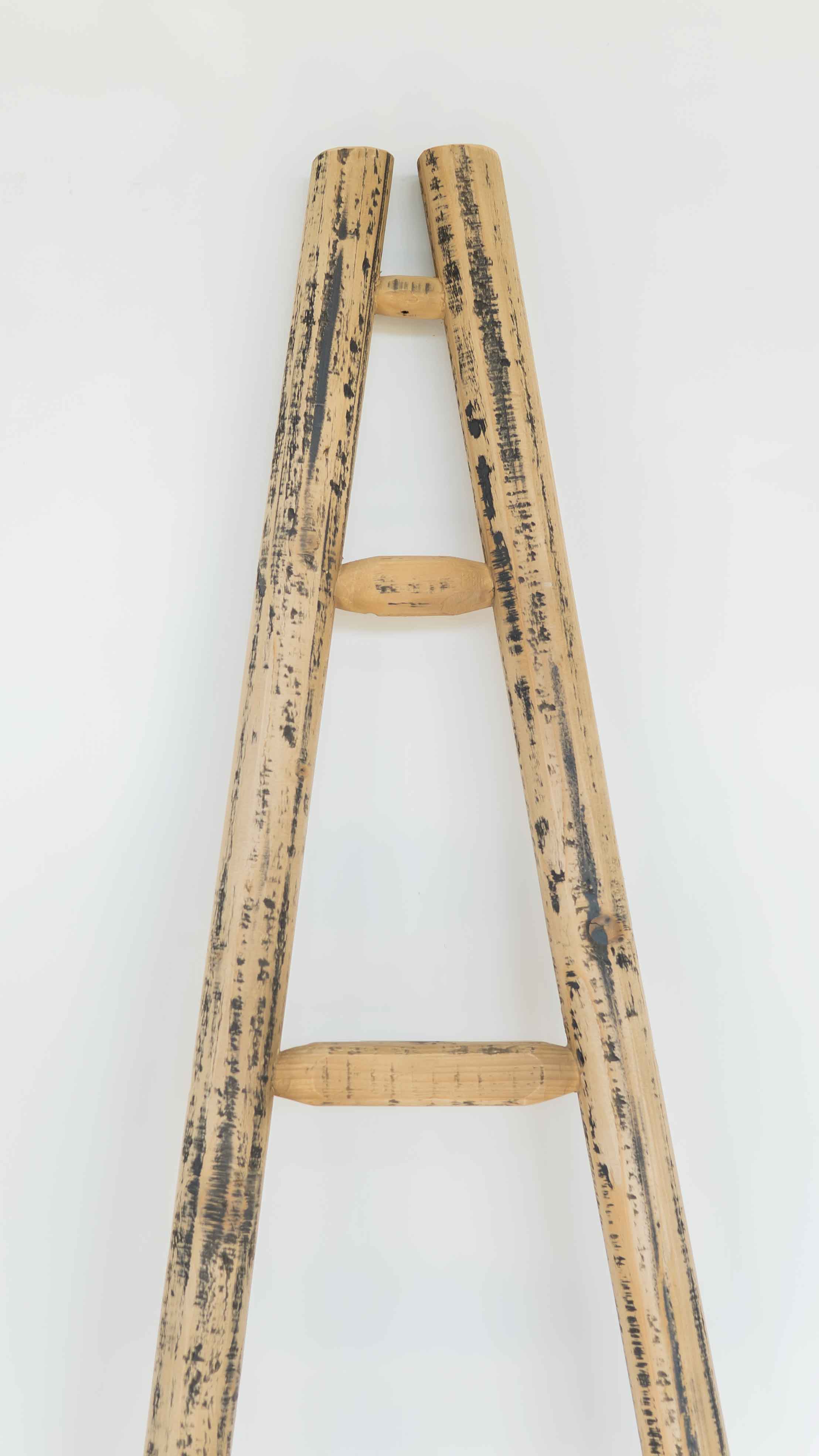 Veronica Ladder - Wood and Steel Furnitures